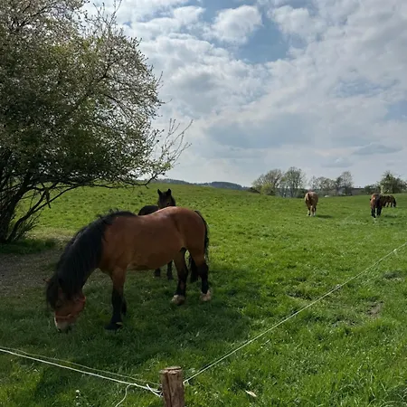 Сasa de vacaciones Na Kaszubach - Pierszczewo