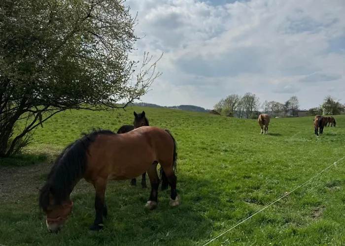 Сasa de vacaciones Na Kaszubach - Pierszczewo